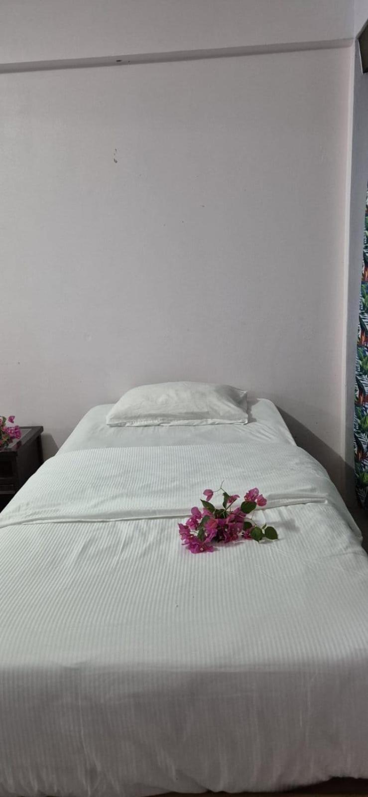 Bluelight Village Hotel 楠迪 外观 照片